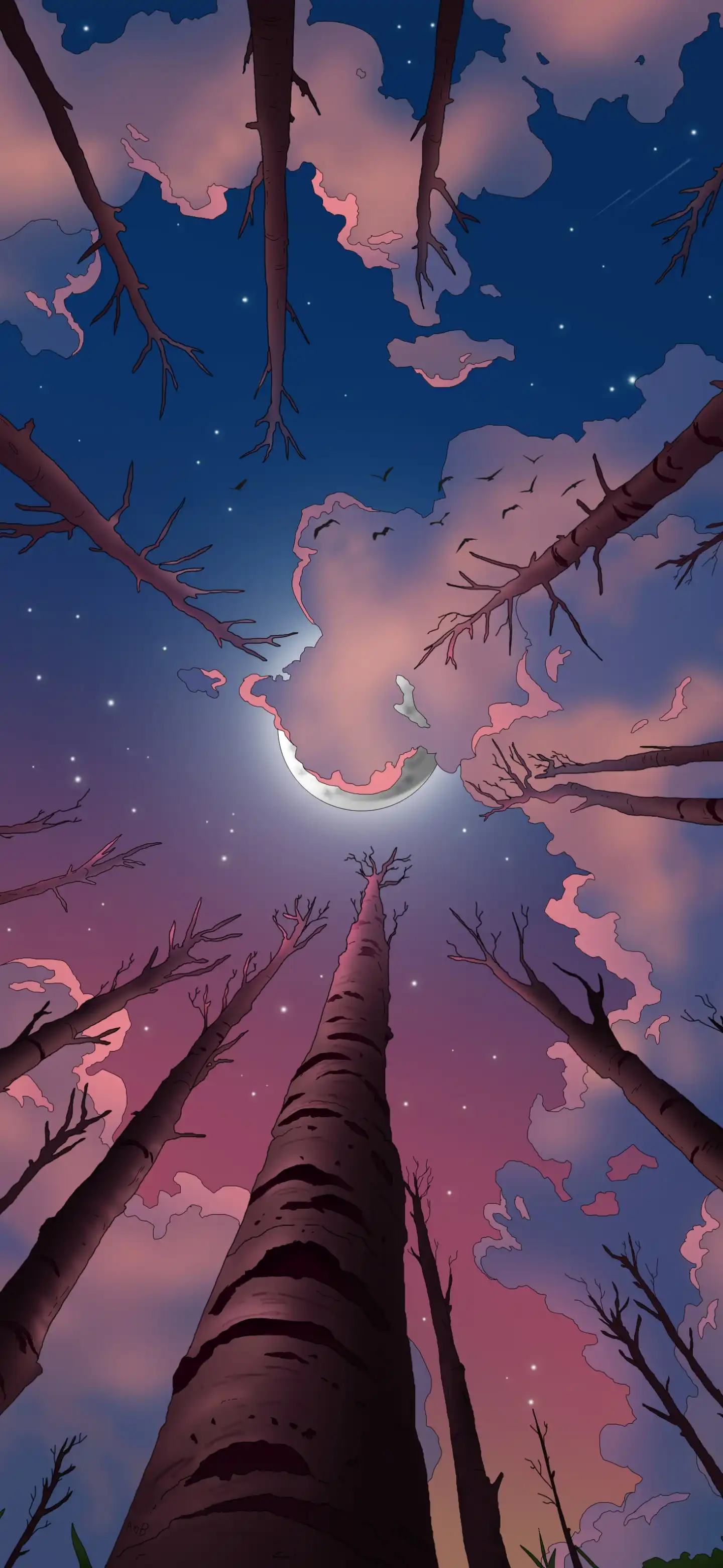 图片[5]-壁纸-独趣博客