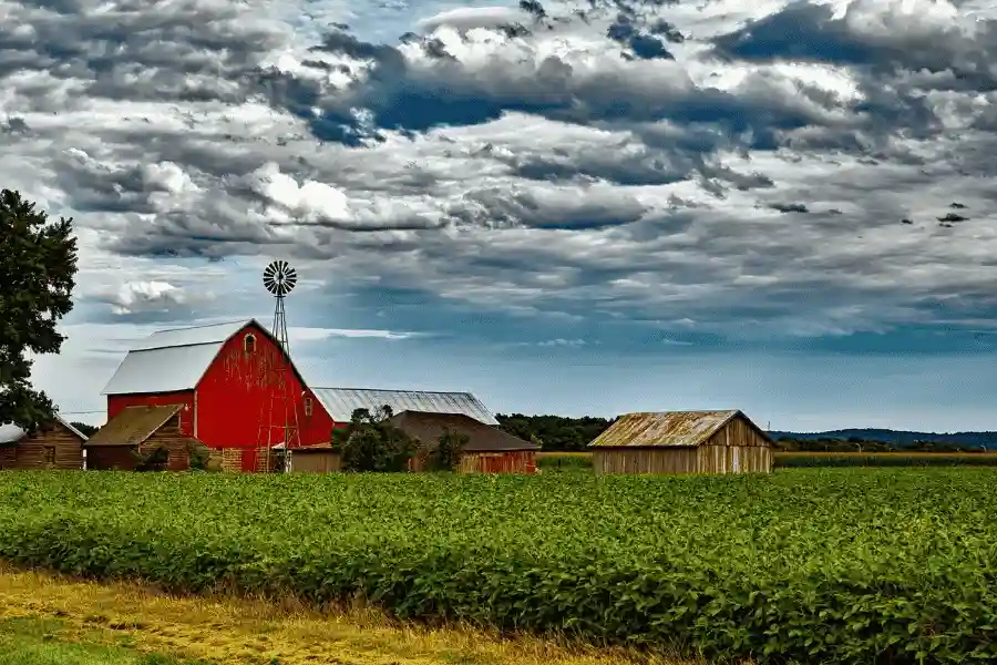 常见淡水虾养殖品种大盘点，选种不迷茫